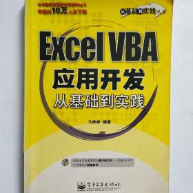 Excel VBA应用开发从基础到实践  （有光盘）