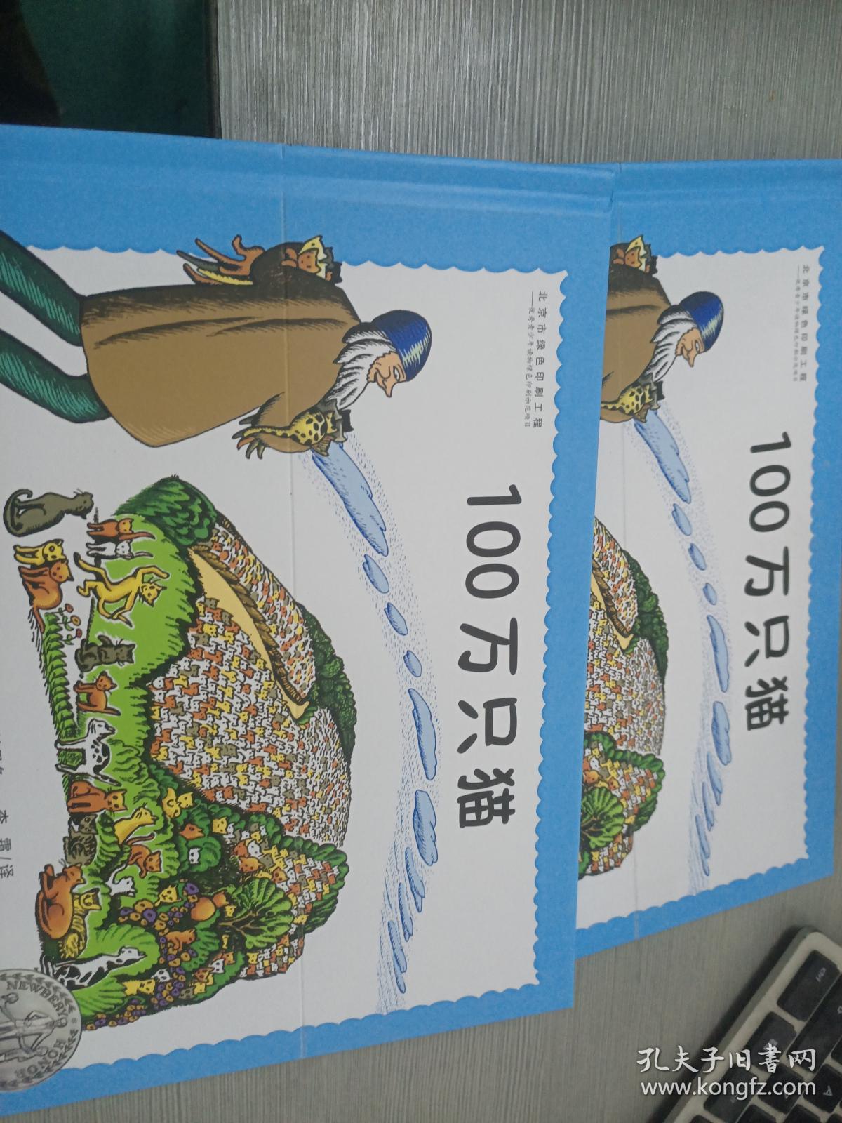 纽伯瑞大奖绘本:100万只猫(国际大奖大师婉达·盖格作品,世界图画书