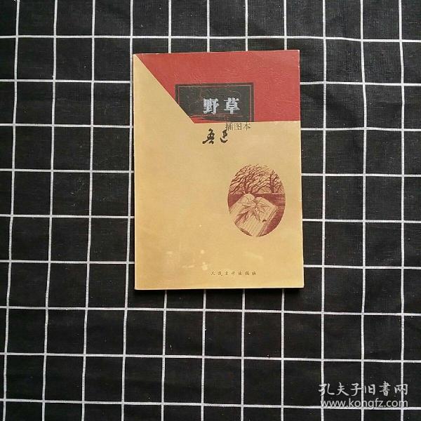 九品                                                  杨子书店