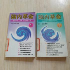 脑内革命 第一卷:重新认识、开发、利用你的大脑：重新认识、开发、利用你的大脑--第一卷的新描述，第2卷 右脑的使用将改变你的人生