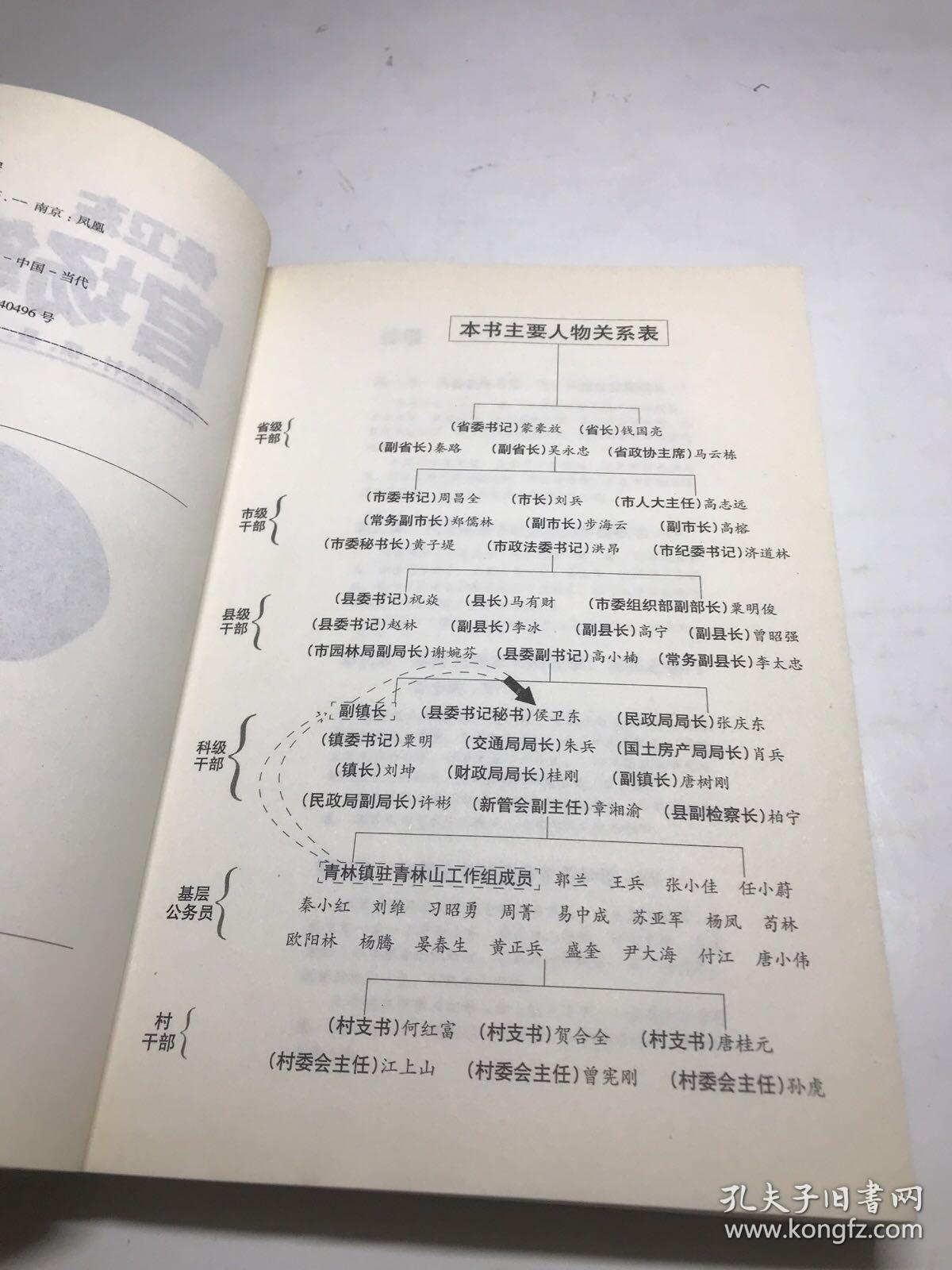 侯卫东官场笔记3:逐层讲透村,镇,县,市,省官场现状的自传体小说