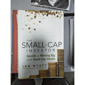 特价特价~The Small-cap Investor全外文版9780470405260Ian Wyat