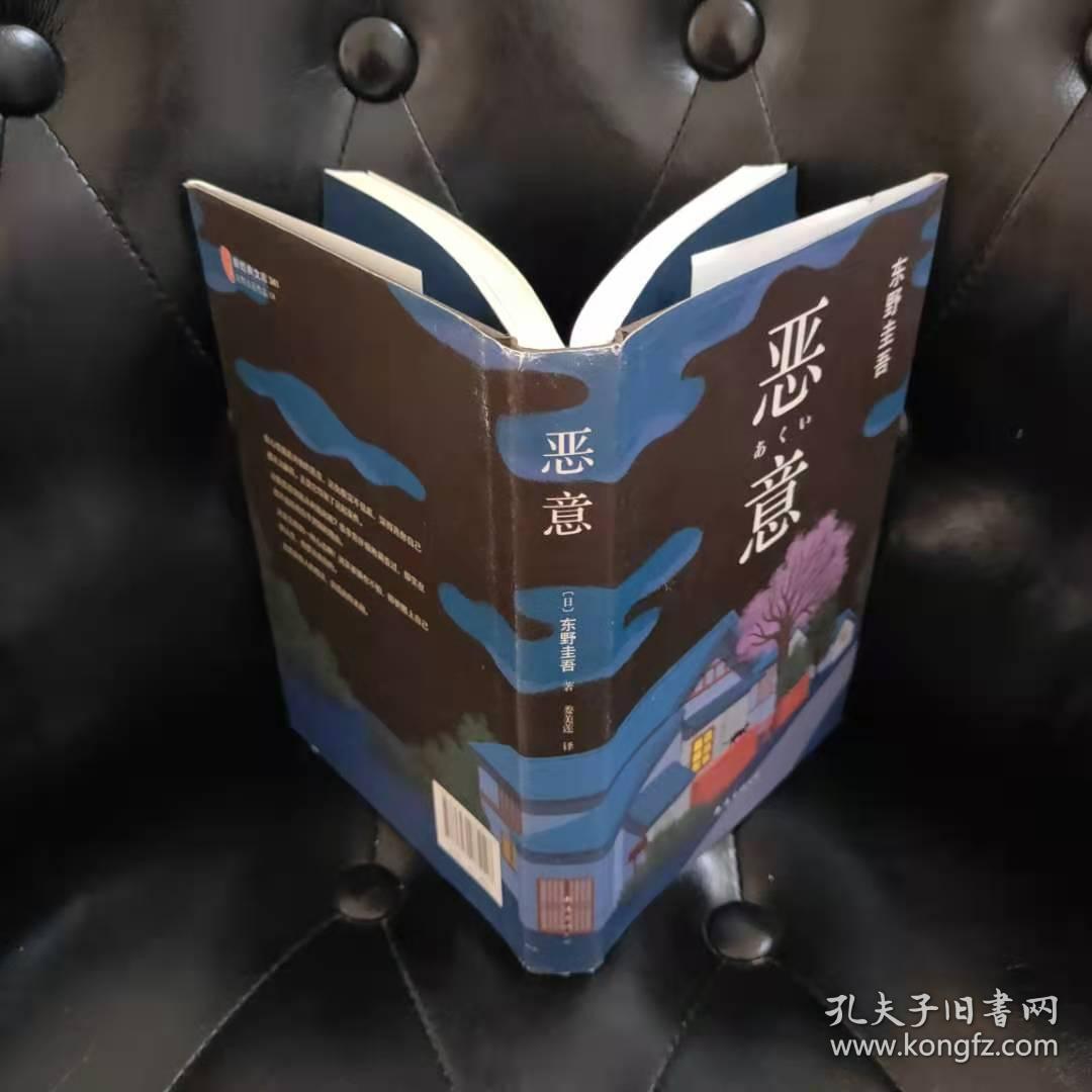 恶意东野圭吾
