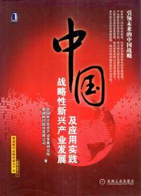 赛迪顾问战略性新兴产业系列丛书.中国战略性新兴产业发展及应用实践（含书衣）