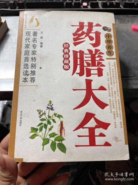 中华养生 药膳大全