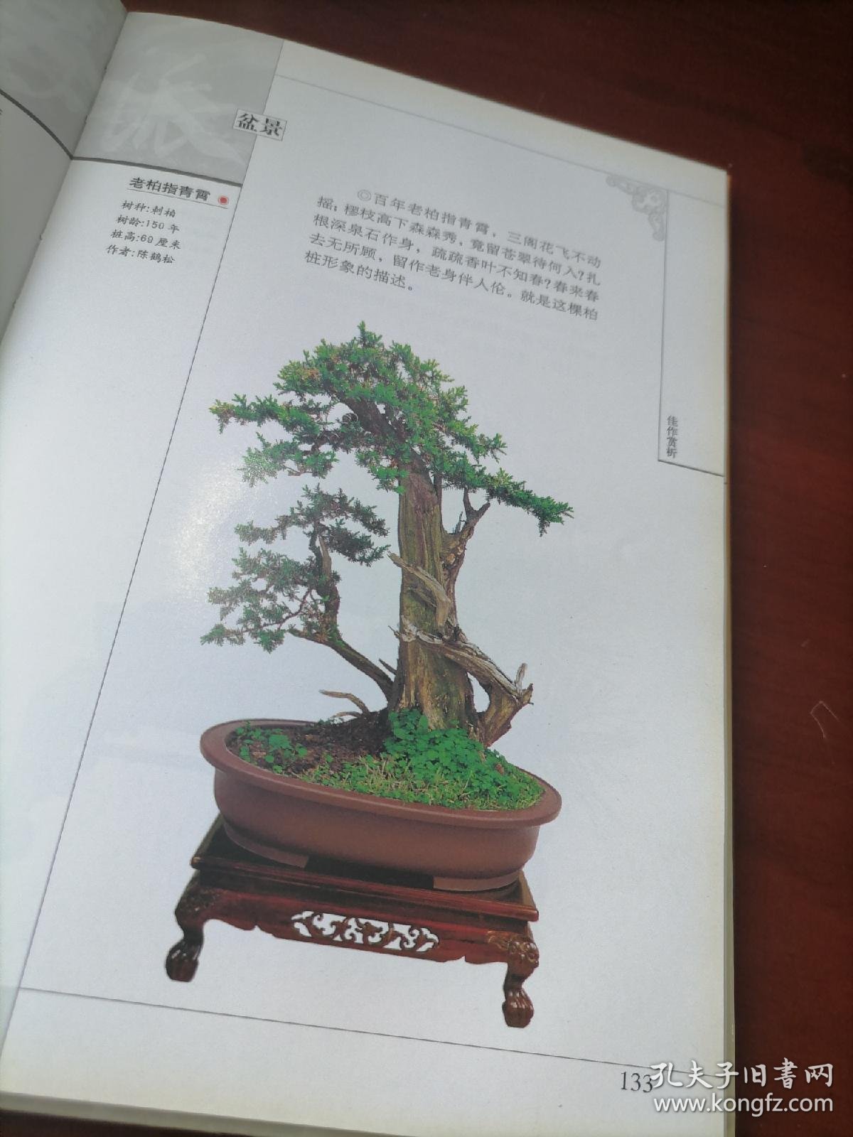 中国苏派盆景 中国盆景流派丛书