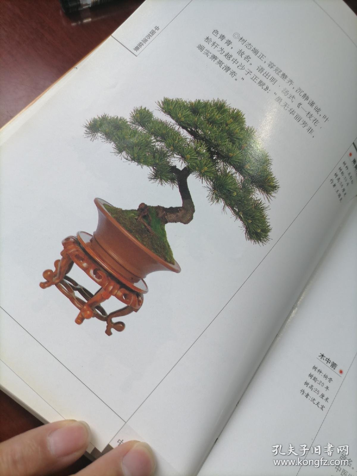 中国苏派盆景 中国盆景流派丛书