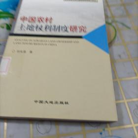 中国农村土地权利制度研究