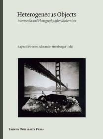 Heterogeneous Objects: Intermedia and Photography after Modernism