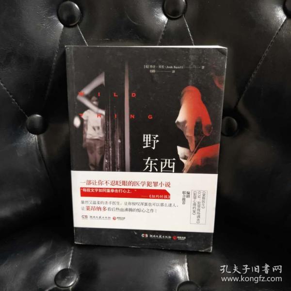 野东西 乔许·贝佐乔许·贝佐 湖南文艺出版社 2014 05 平装夜行书生书店浙