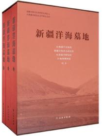新疆洋海墓地（套装上中下册）