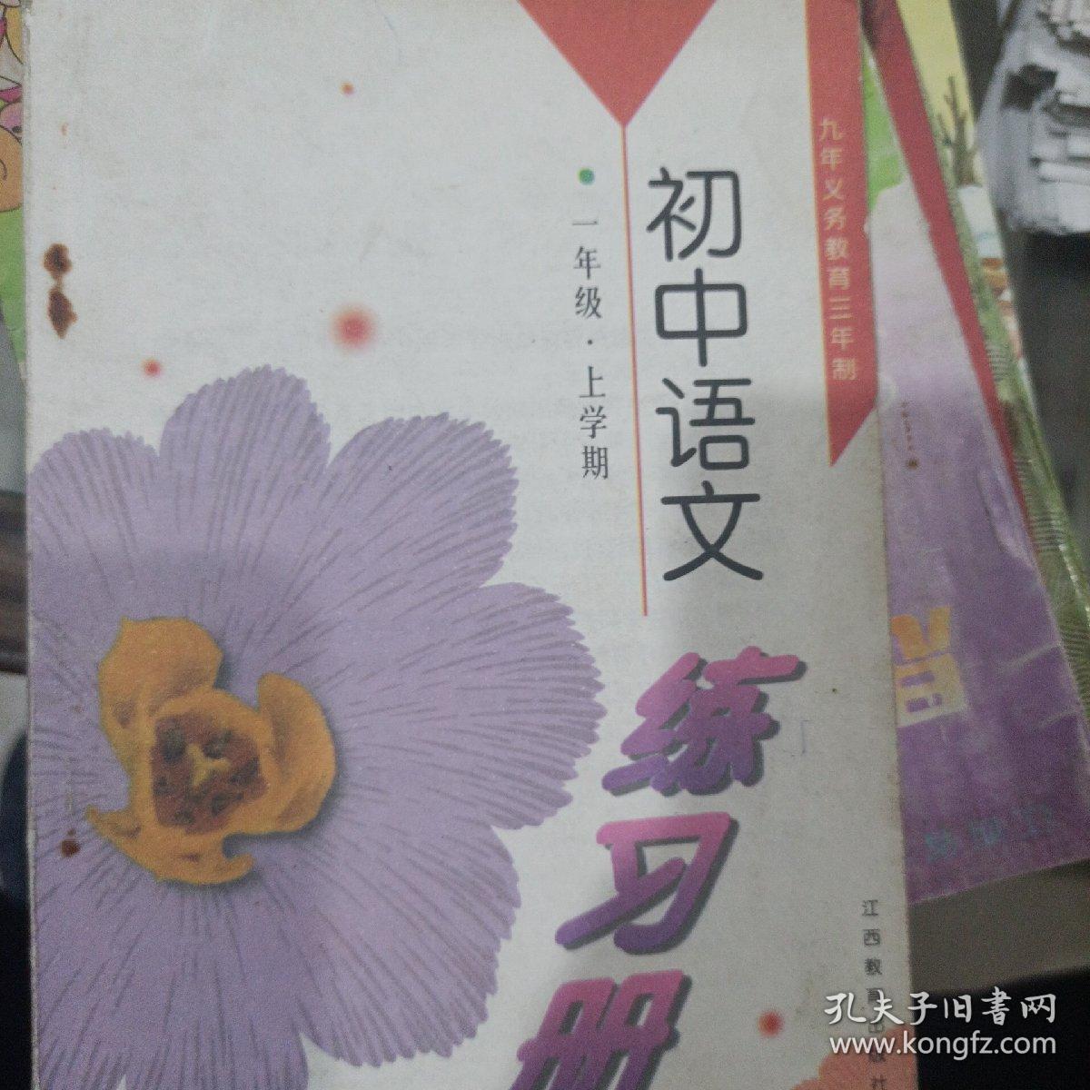 初中语文练习册
