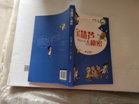 宝葫芦的秘密，