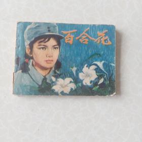 连环画百合花