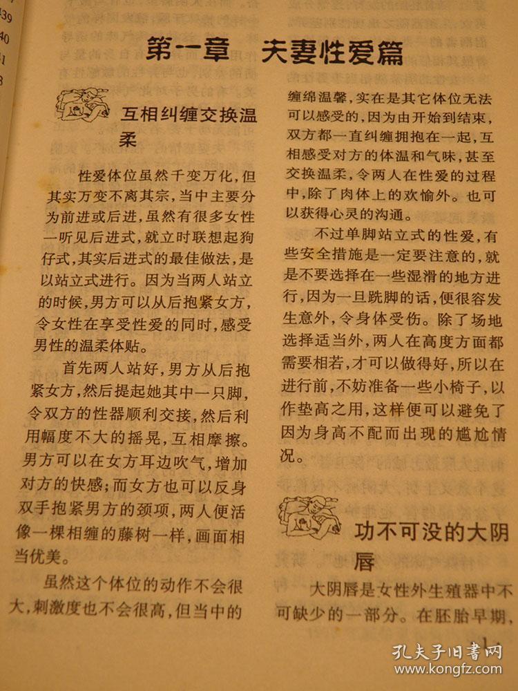 夫妻性生活技巧宝典 00年代书籍 两性科普类书籍 两性生活艺术类书籍