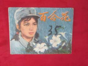 连环画：百合花