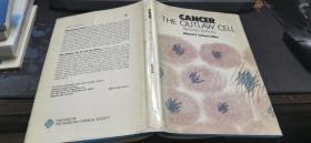 原版图书安瑟  癌症细胞  16开本精装  包快递费