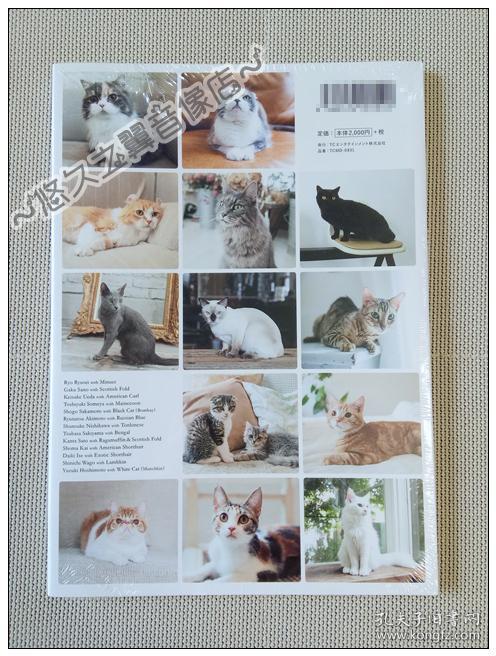 全新现货 猫咪男友写真集龙星凉植田圭辅佐野岳阪本奖悟崎山翼染谷俊之秋元龙太朗西川俊介佐藤宽太甲斐翔真伊势大贵和合真一星元裕月ねこカレ写真