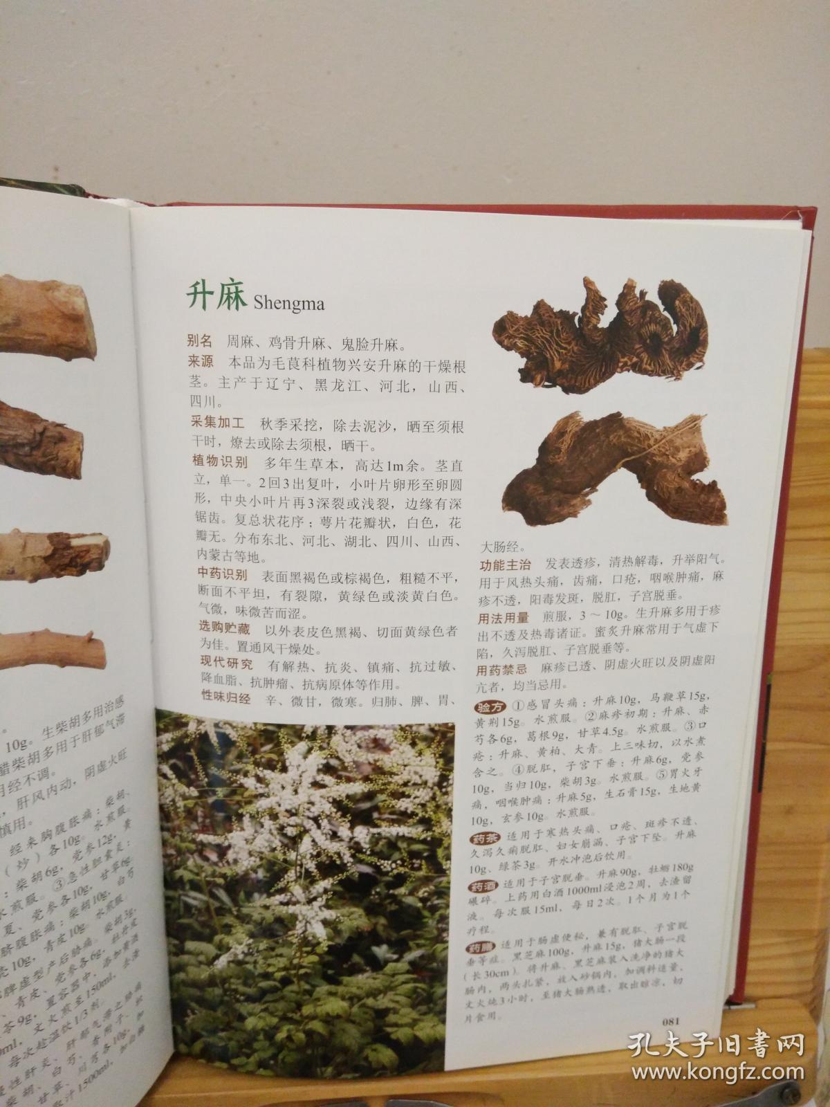 图解中草药大全 (16开精装彩印)