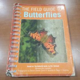 The Field Guide to Butterflies-蝴蝶野外指南