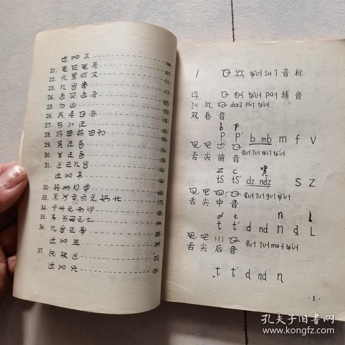 彝文识字课本:(普及本)(书背背脊有破损,内页全新,请看拍实图,谢谢.