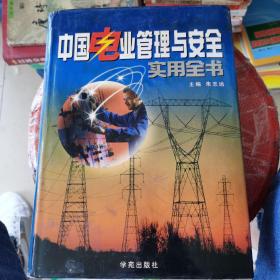 中国电业管理与安全实用全书