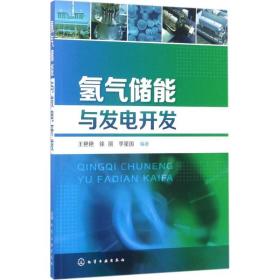 氢气储能与发电开发王艳艳化学工业出版社9787122292889