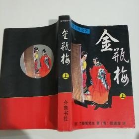 金瓶梅 上册：张竹坡批评第一奇书
