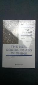中国新社会阶层 基于北京 上海和广州的实证分析