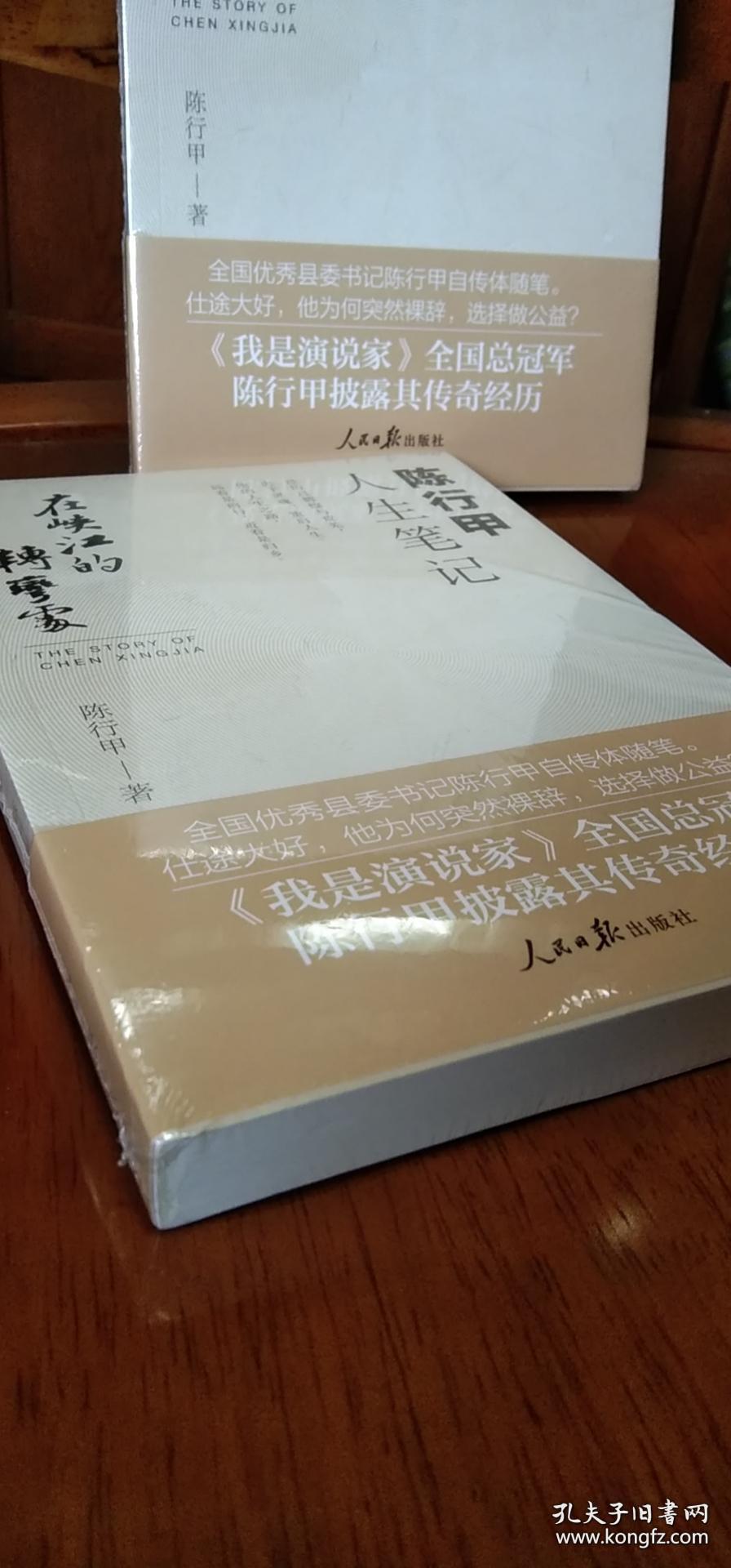 在峡江的转弯处陈行甲人生笔记