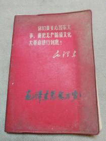 （建3）029：毛泽东语录笔记本，《你们要关心国家大亊。毛主席语录笔记本（实践的目的是衡量实践成效的标准吗？。。，读书札记杨洛1980年8月）》