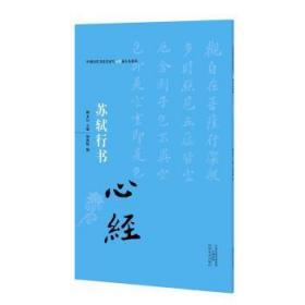 中国历代书法名家写心经放大本系列 苏轼行书《心经》