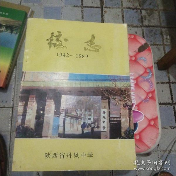 陕西省丹凤中学校志