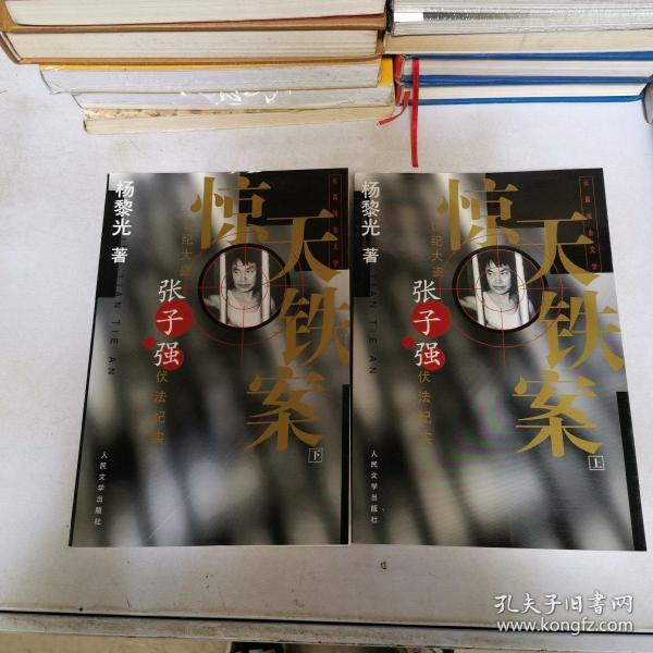 惊天铁案(上下)