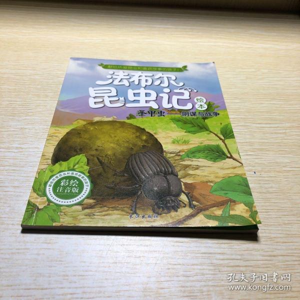 法布尔 昆虫记绘本  圣甲虫 阴谋与战争
