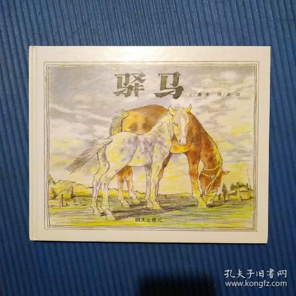绘本类:驿马/信宜原创图画书系列(精装)