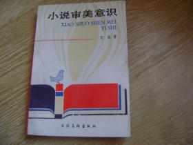小说审美意识