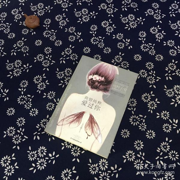 我曾纯粹爱过你