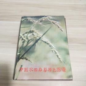 中国农田杂草原色图谱 《作者签赠本》《内页干净》