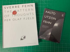Aalto, Utzon, Fehn: Three Paradigms of Phenomenological 2本
