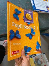 FocusonLiteracy(15)-PupilTextbook2；/
