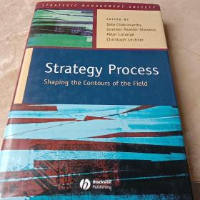 StrategyProcess:ShapingtheContoursoftheField(StrategicManagementSociety)