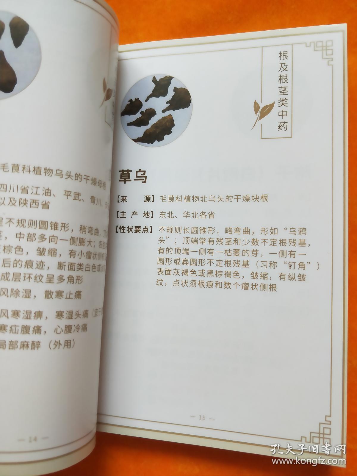百草图鉴中药速记图卡手册