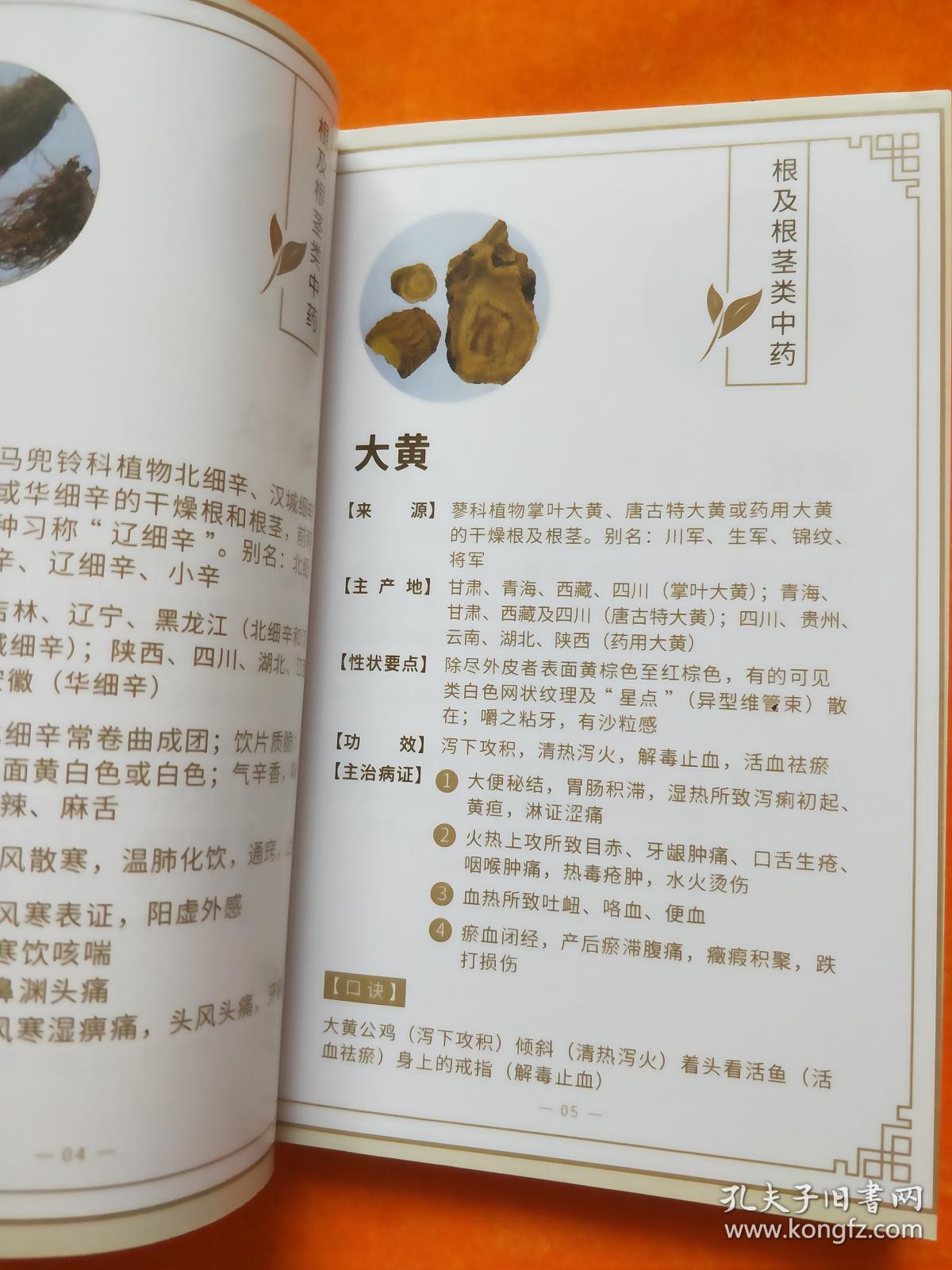 百草图鉴中药速记图卡手册