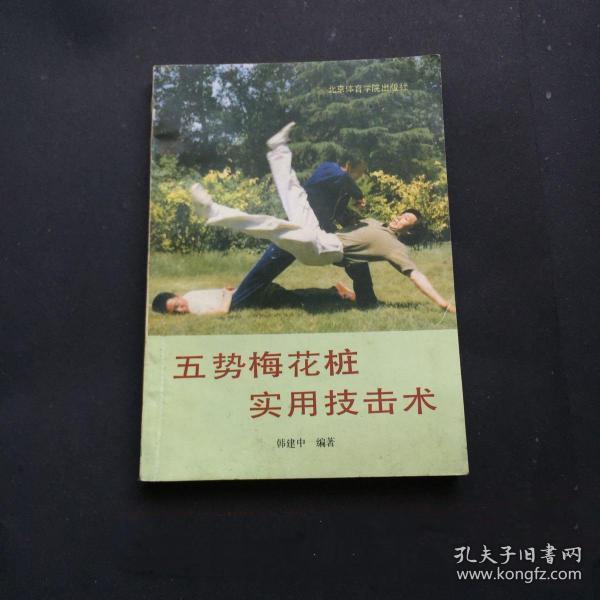 五势梅花桩实用技击术