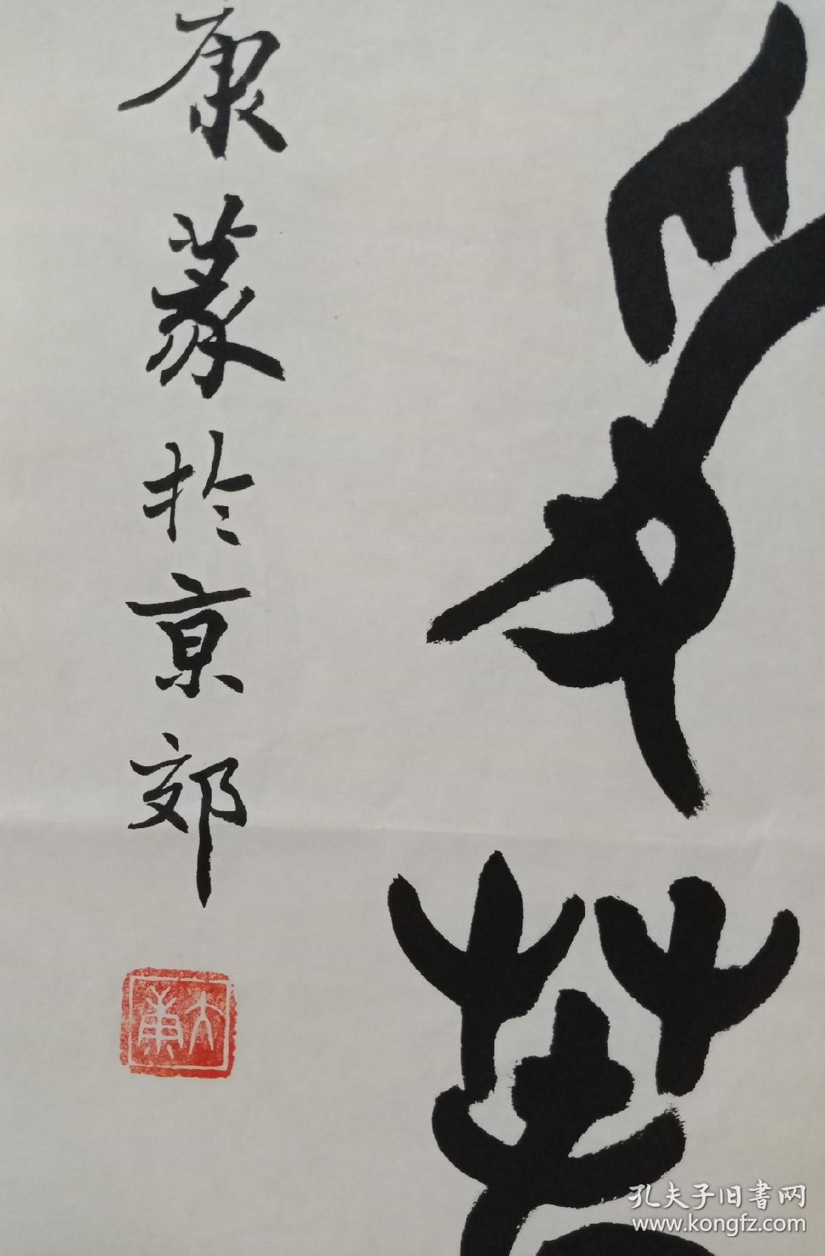 中国古文学家,篆刻家,书法家,画家大康书法