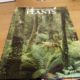 The Illustrated encyclopedia of Plants    c