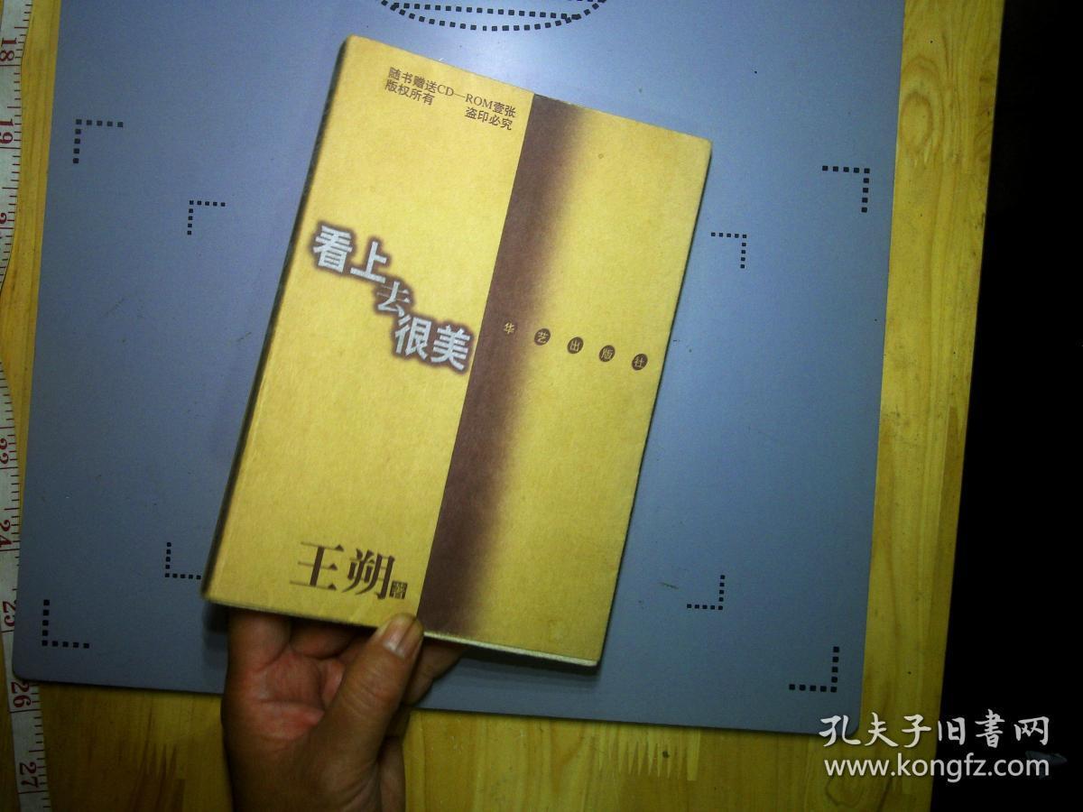 看上去很美 王朔著