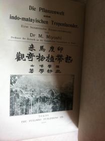 明治41年 印度马来热带植物奇观 清朝同期热带植物专业书籍 内容插图丰富