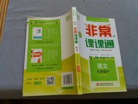 通城学典 ：初中 非常 课课通 九年级语文 【下】配苏教版